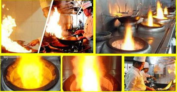 英美環(huán)?？萍兼谟托履茉锤采w需求廣泛